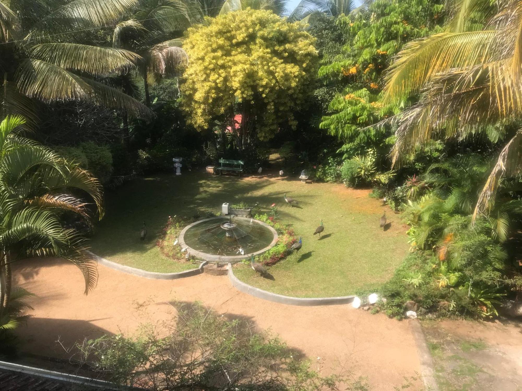 Wattarantanne Homestay แคนดี้ ภายนอก รูปภาพ